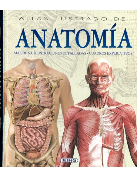 Atlas ilustrado de anatomia