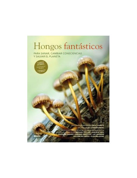 Hongos fantasticos