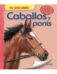 Caballos y ponis