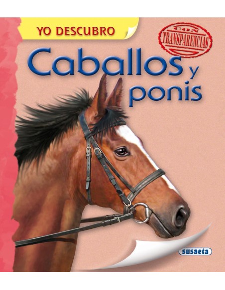 Caballos y ponis