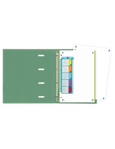 400159887 carpeta de cartón A4+ Colores surtidos