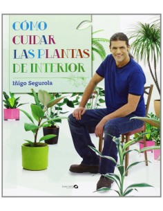 Como cuidar las plantas de interior