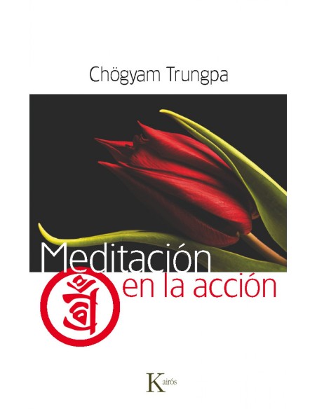 Meditacion en la accion
