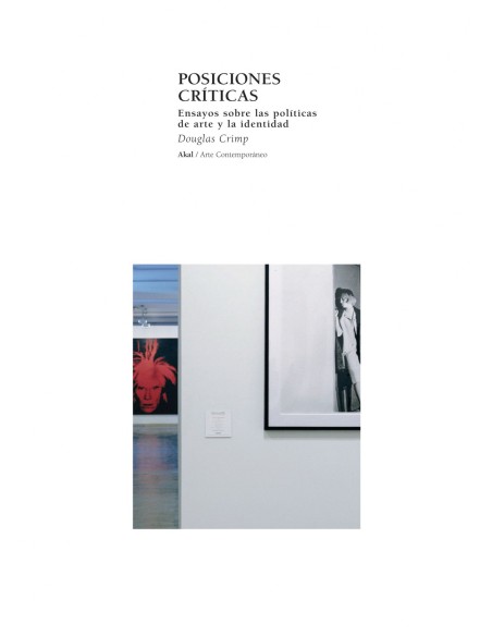 Posiciones criticas ensayos sobre politicas de arte y la identidad
