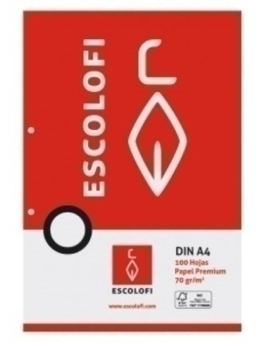 RECAMBIO ESCOLOFI A4 100h 2 TAL. HZTL.