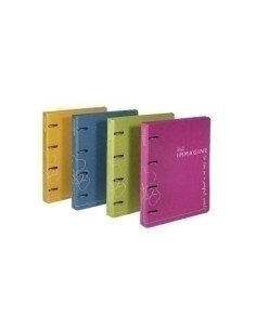 CARPETA CARCHIVO IMM. A4 2 AN.25 SURTIDO - Pack de 10 unidades