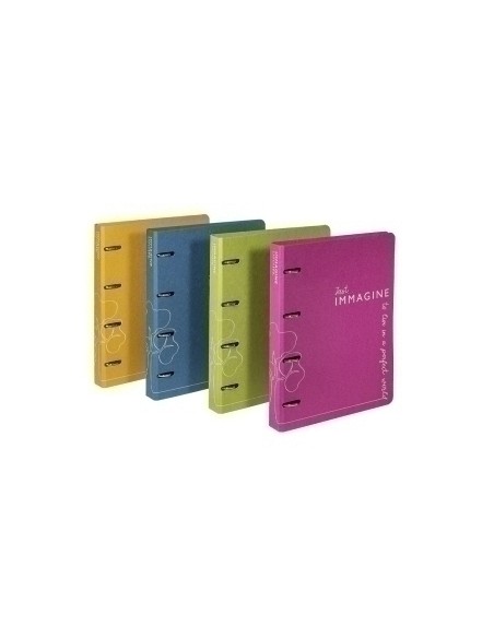 CARPETA CARCHIVO IMM. A4 2 AN.25 SURTIDO - Pack de 10 unidades