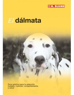 Dalmata