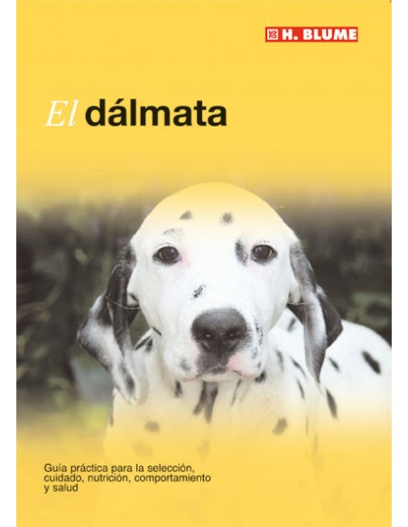 Dalmata