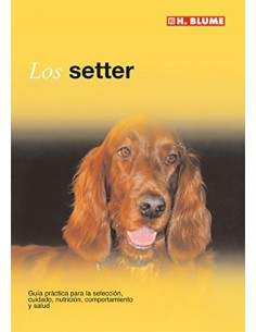 Setter
