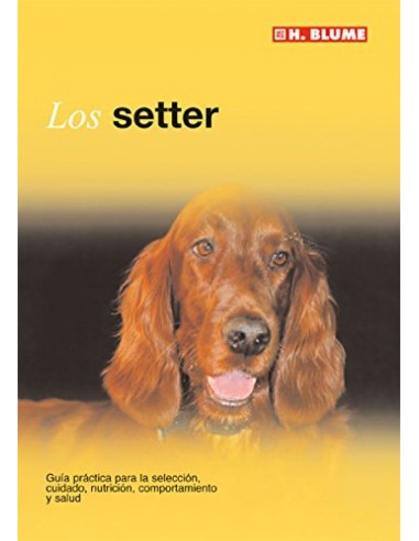 Setter