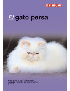 Gato persa