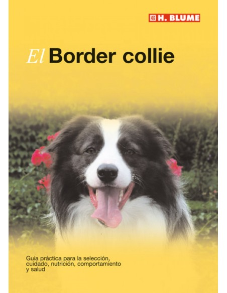 El border Collie