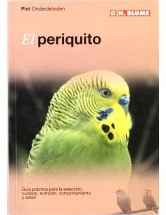 Periquito