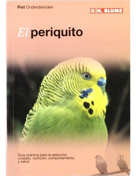 Periquito