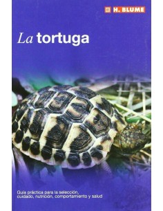 Tortuga