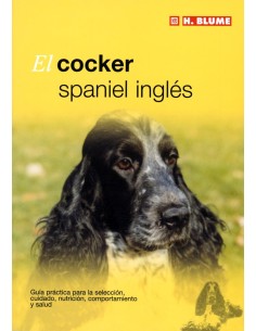 Cocker spaniel ingles