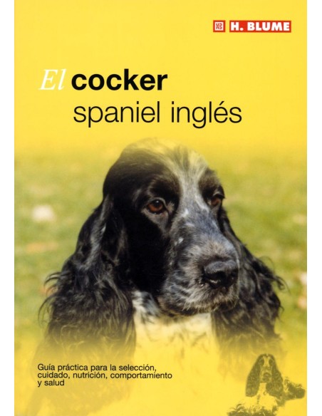 Cocker spaniel ingles