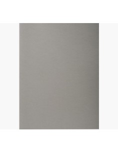 410009E carpeta Caja de cartón Gris A4