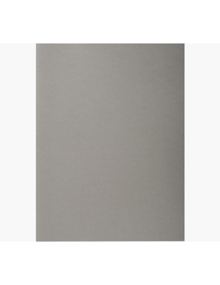 410009E carpeta Caja de cartón Gris A4