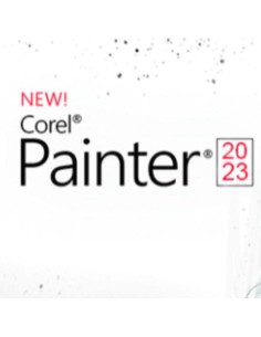 PAINTER 2023 EDUCATION LICENSE (SIN