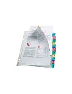 Index Pockets álbum de foto y protector Transparente