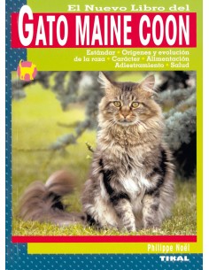 Gato Maine Coon