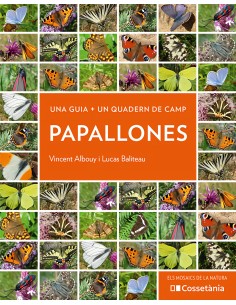 Papallones