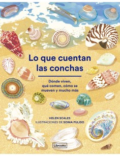Lo que cuentan las conchas