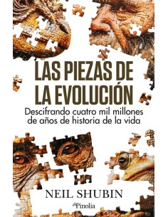 PIEZAS DE LA EVOLUCION LAS