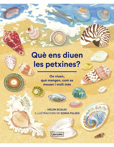 Que ens diuen les petxines