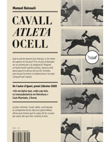 Cavall atleta ocell