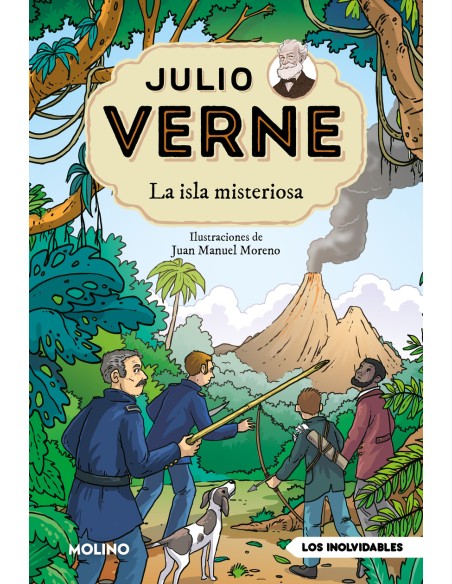 Julio Verne La isla misteriosa edicion actualizada ilustrada y adaptada