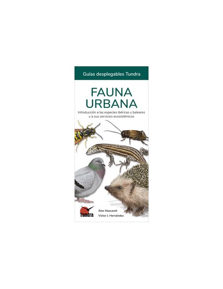FAUNA URBANA CAT