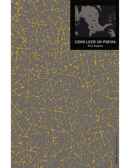 Como leer un poema