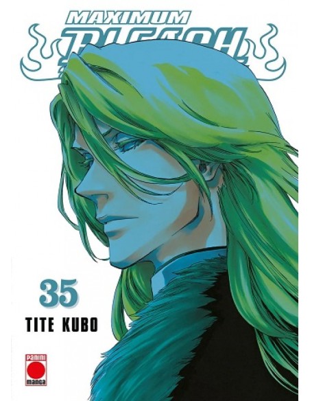 BLEACH MAXIMUM 35 MANGA