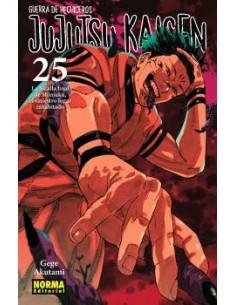 JUJUTSU KAISEN 25