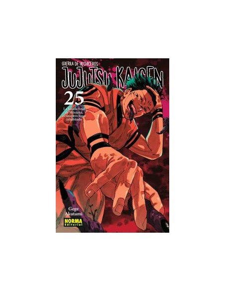JUJUTSU KAISEN 25