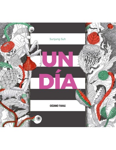Un dia