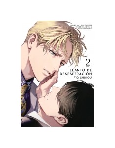 LLANTO DE DESESPERACION N 02