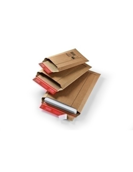 BOLSA COLOMPAC CARTON 167x268 C/100