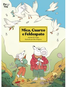 MICA CUARZO E FELDESPATO