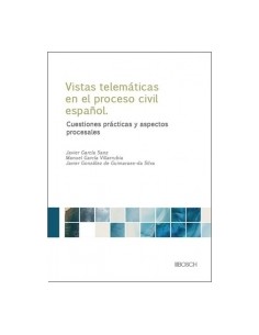 Las vistas telematicas en el proceso civil espanol