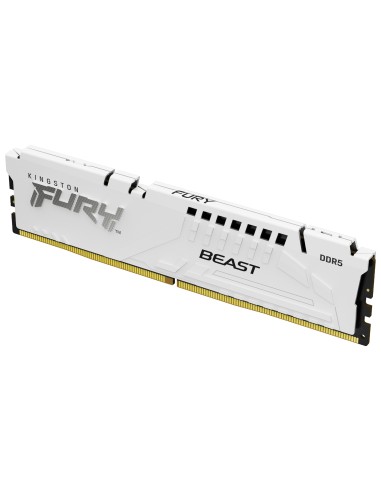 FURY Beast módulo de memoria 16 GB 1 x 16 GB DDR5
