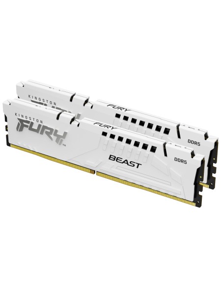 FURY Beast módulo de memoria 32 GB 2 x 16 GB DDR5