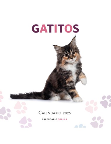 Calendario Gatitos 2025