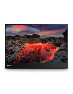 ThinkVision M14t pantalla para PC 35,6 cm (14") 2240 x 1400 Pixeles 2.2K LED Pantalla táctil Negro