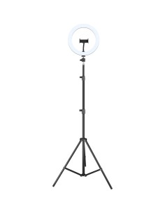 IGG317235 tripode Sistema de iluminación 3 pata(s) Negro