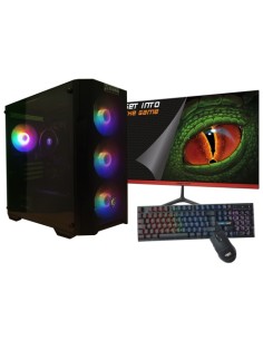AMD Ryzen 5 4650G/16GB/1 Tb NVMe/Monitor 21.5 teclado y ratón Windows 11 Ordenador GamingPC