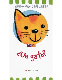 Un gato